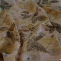 silk scarf for ladies